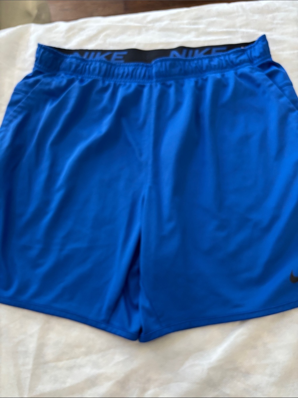 Nike Men's Royal Blue Performance Athletic Shorts